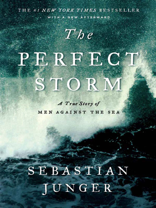 Title details for The Perfect Storm by Sebastian Junger - Wait list